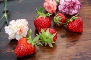 la monodiète au fruits de saison