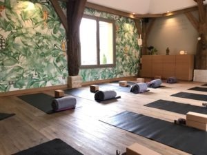 yoga immersion avec Claire Andreewitch