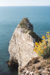 domaine Les Tilleuls