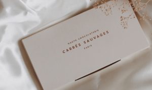 Édition limitée: « La beauté nordique » avec Carres Sauvages - Claire Andreewitch